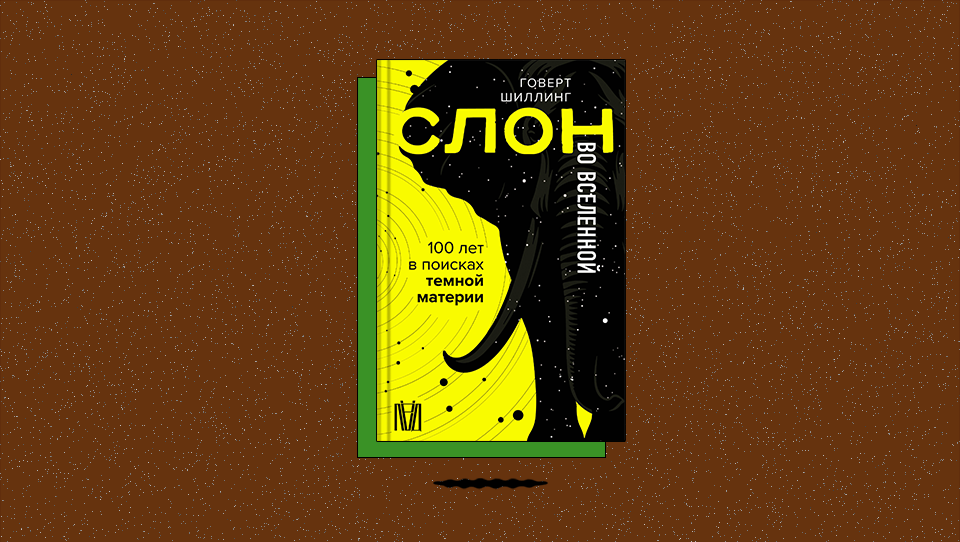 «Слон во Вселенной. 100 лет в поисках темной материи»: как дисковые галактики сохраняют устойчивость